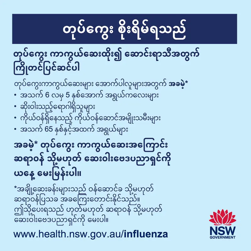 Influenza is serious Burmese (မြန်မာစာ) HealthServ