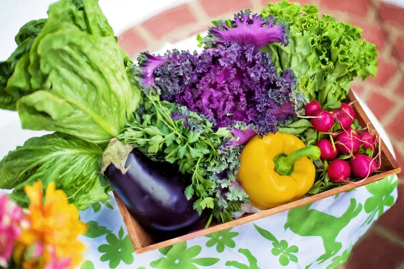 ประโยชน์ผักผลไม้ 5 กลุ่มสี HealthServ
