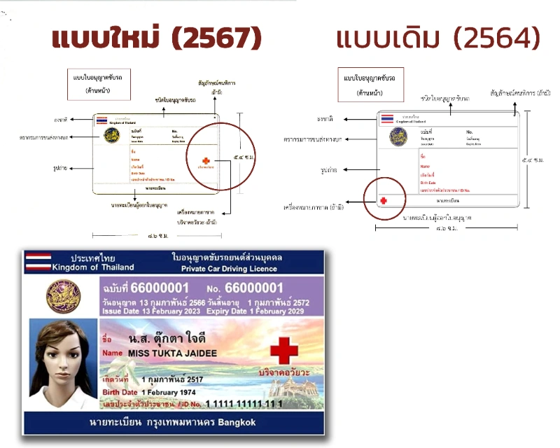 ใบขับขี่รูปแบบใหม่ เพิ่มสัญลักษณ์ กาชาดบริจาคอวัยวะ ชัดเจน HealthServ