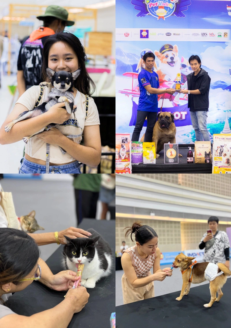 มหกรรมสัตว์เลี้ยง SmartHeart presents Thailand International Pet Variety Exhibition @CNX HealthServ