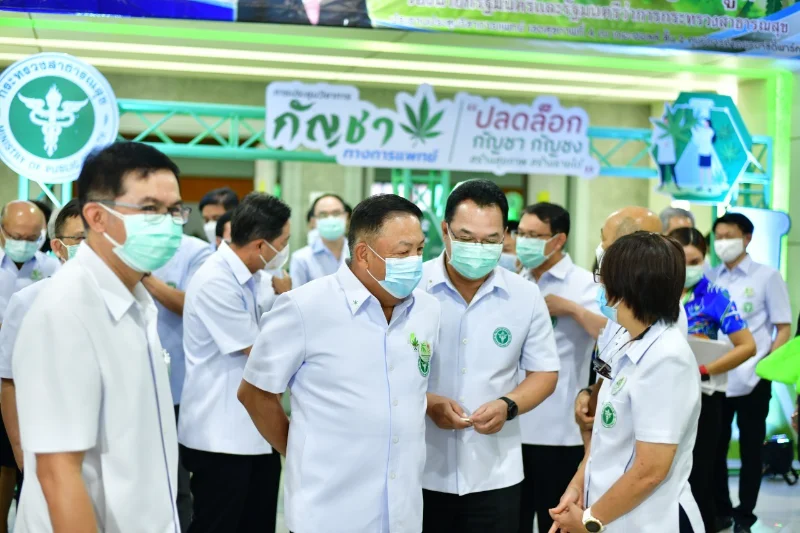 เขตสุขภาพที่ 4 ชูจุดเด่นศูนย์รวมความเชี่ยวชาญด้านกัญชาแผนปัจจุบัน-แผนไทยครบวงจร HealthServ