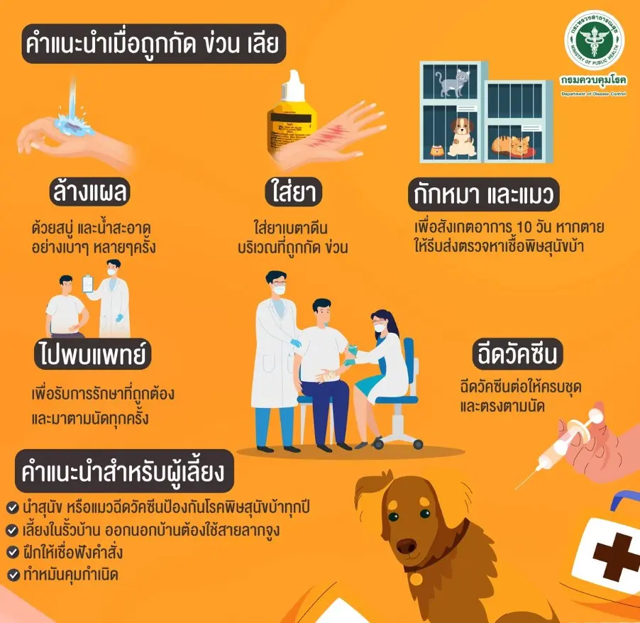 สิทธิบัตรทอง ถูกสุนัขกัดถือเป็นกรณีอุบัติเหตุ เข้ารับการรักษาและรับวัคซีน ฟรี HealthServ