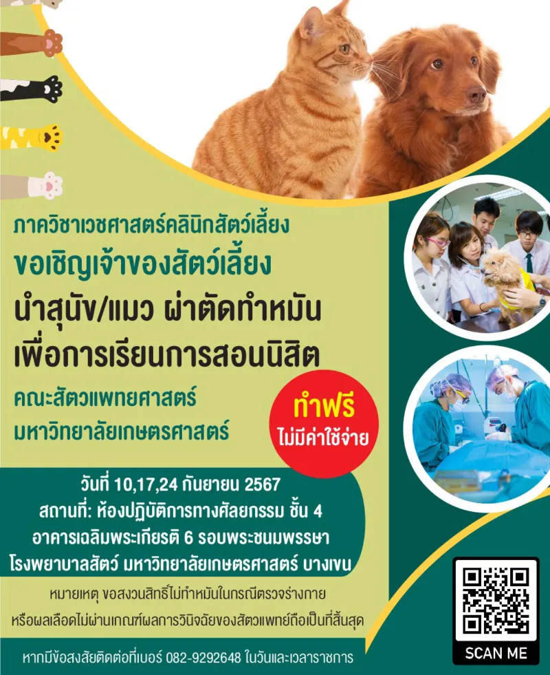 สัตวแพทย์ ม.เกษตร เปิดผ่าตัดทำหมันหมาแมว ฟรี เพื่อการเรียนการสอนนิสิต กันยายน 67 HealthServ