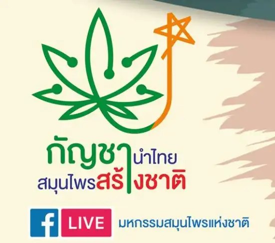 ชวนเที่ยวงาน มหกรรมสมุนไพรแห่งชาติ 2564 ครั้งที่ 18 ชูแนวคิด กัญชานำไทย สมุนไพรสร้างชาติ HealthServ