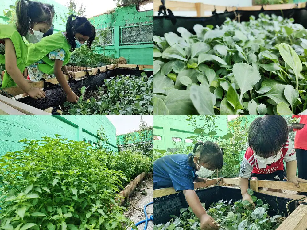 ชมแปลงผักสวนครัว ศูนย์เด็กก่อนวัยเรียน วัดดาวดึงฯ เพื่อเด็กๆ เข้าถึงผักปลอดภัย HealthServ
