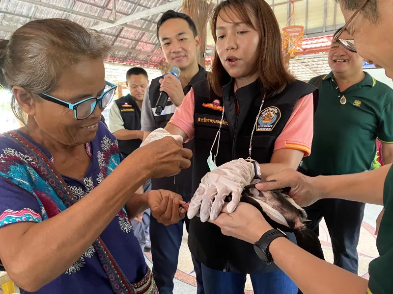 ปศุสัตว์นครราชสีมา จับมือเอกชน เปิดตัวโครงการ สัตว์ปลอดโรค อาหารปลอดภัย HealthServ