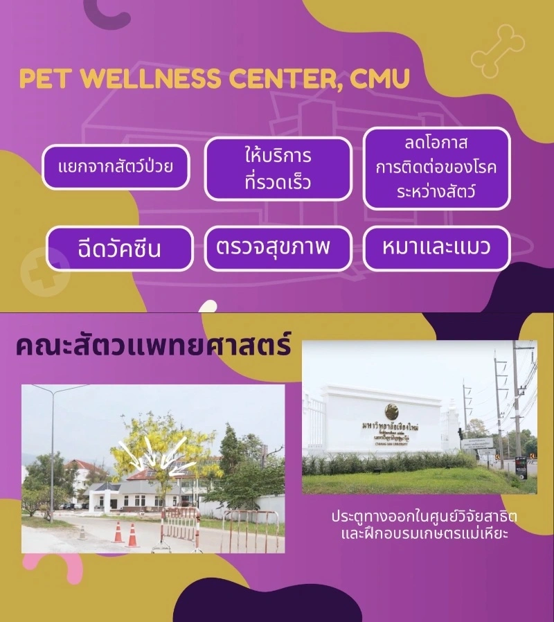 เปิดตัว ศูนย์สุขภาพสัตว์เลี้ยง (Pet Wellness Center, CMU) สัตวแพทย์ มช. HealthServ