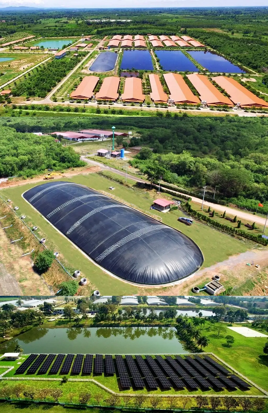 Greenfarm CPF ฟาร์มหมูรักษ์โลก ใช้ ไบโอแก๊ส-โซลาร์ฟาร์ม เป็นพลังงานทดแทน HealthServ