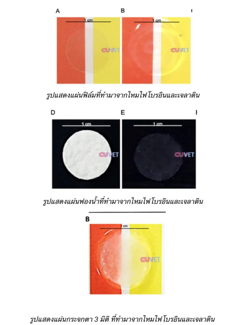 4 จุดเด่นนวัตกรรมกระจกตาเทียมสามมิติ ผลงานนักวิจัย จุฬาฯ HealthServ