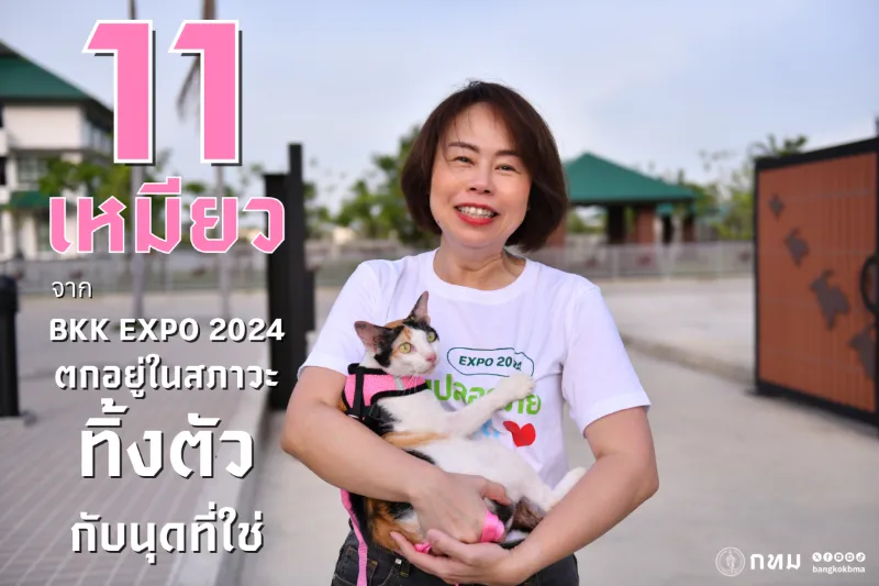 อยากรับอุปการะดูแลหมาแมว ติดต่อศูนย์ BKK Adopter ของกทม.ได้เลย HealthServ