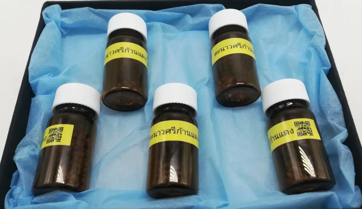 เมล็ดพันธุ์กัญชาไทย ตะนาวศรีก้านแดง CBD สูง กรมวิทย์ฯ ส่งมอบ สธ. 500 เมล็ด HealthServ