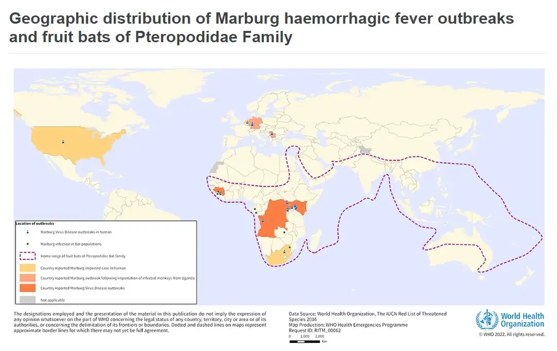 โรคไวรัสมาร์บูร์ก มฤตยูร้ายระดับเดียวกับอีโบล่า HealthServ