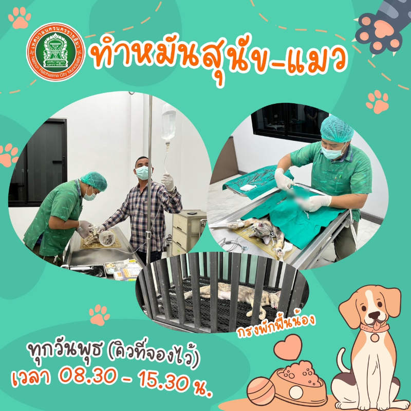 ศูนย์พักพิงสุนัขจรจัด เทศบาลนครนครราชสีมา ฉีดวัคซีนและทำหมันหมา-แมว ฟรี! HealthServ