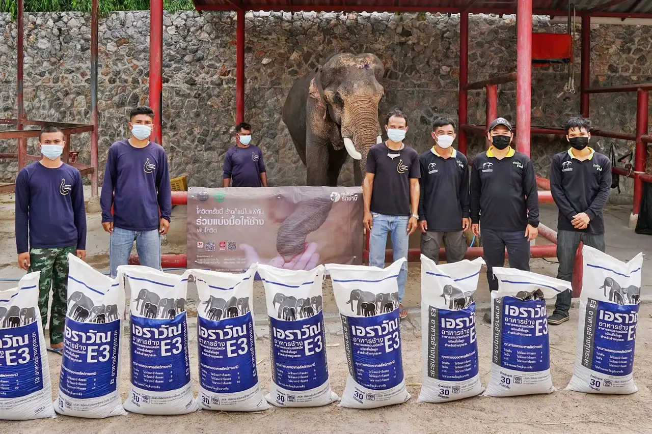 โควิดครั้งนี้ ช้างก็แย่ไม่แพ้กัน ซีพีเอฟ มอบอาหารช้าง 60 ตัน HealthServ