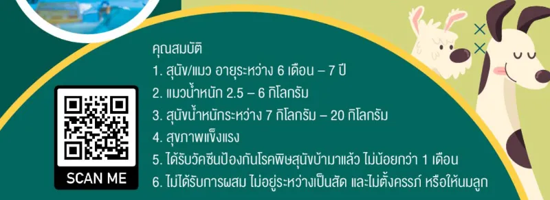 สัตวแพทย์ ม.เกษตร เปิดผ่าตัดทำหมันหมาแมว ฟรี เพื่อการเรียนการสอนนิสิต กันยายน 67 HealthServ