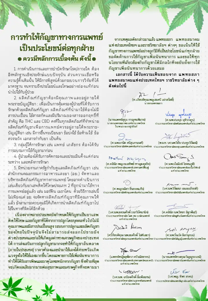 แพทยสภา เปิดข้อเสนอเกี่ยวกับนโยบายกัญชาของประเทศไทย HealthServ