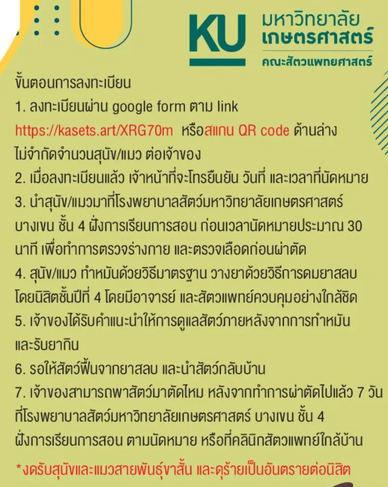 สัตวแพทย์ ม.เกษตร เปิดผ่าตัดทำหมันหมาแมว ฟรี เพื่อการเรียนการสอนนิสิต กันยายน 67 HealthServ