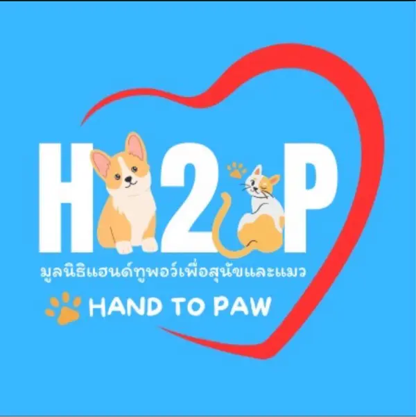 มูลนิธิแฮนด์ทูพอว์ (Hand to Paw) ตารางออกหน่วยทำหมันสุนัข ฟรี เชียงใหม่ HealthServ.net