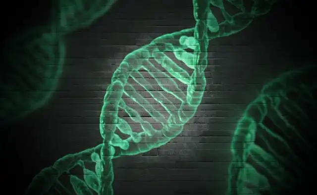 การตรวจรหัสพันธุกรรมหรือตรวจดีเอ็นเอ สำคัญอย่างไร จำเป็นต้องตรวจไหม HealthServ.net