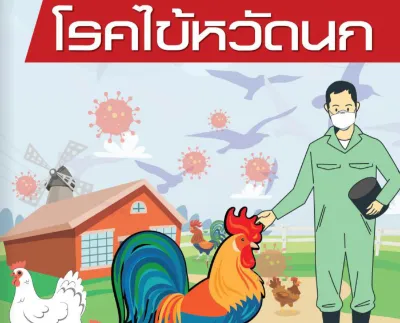 สื่อความรู้ โรคไข้หวัดนก ฉบับอสม. เพื่อเตรียมพร้อมรับมือ ดูแลประชาชน Thumb HealthServ.net