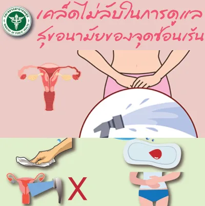 วิธีดูแลสุขอนามัยของจุดซ่อนเร้น สำหรับสุภาพสตรี Thumb HealthServ.net