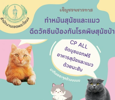 เขตพระโขนง ร่วมกับ ซีพีออลล์ ทำหมันสุนัขและแมว ฟรี Thumb HealthServ.net