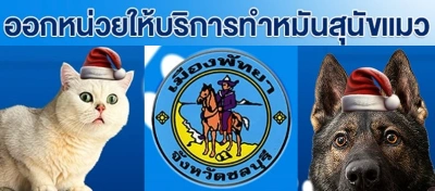 เมืองพัทยา ออกหน่วยทำหมัน ปี 2568 ฉีดวัคซีนหมาแมว ฟรี (มกราคม-สิงหาคม) Thumb HealthServ.net