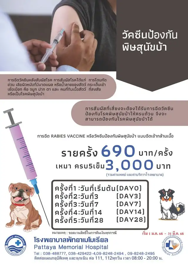 วัคซีนป้องกันพิษสุนัขบ้า ฉีดหลังสัมผัสโรค โรงพยาบาลพัทยาเมโมเรียล  Healthserv.net